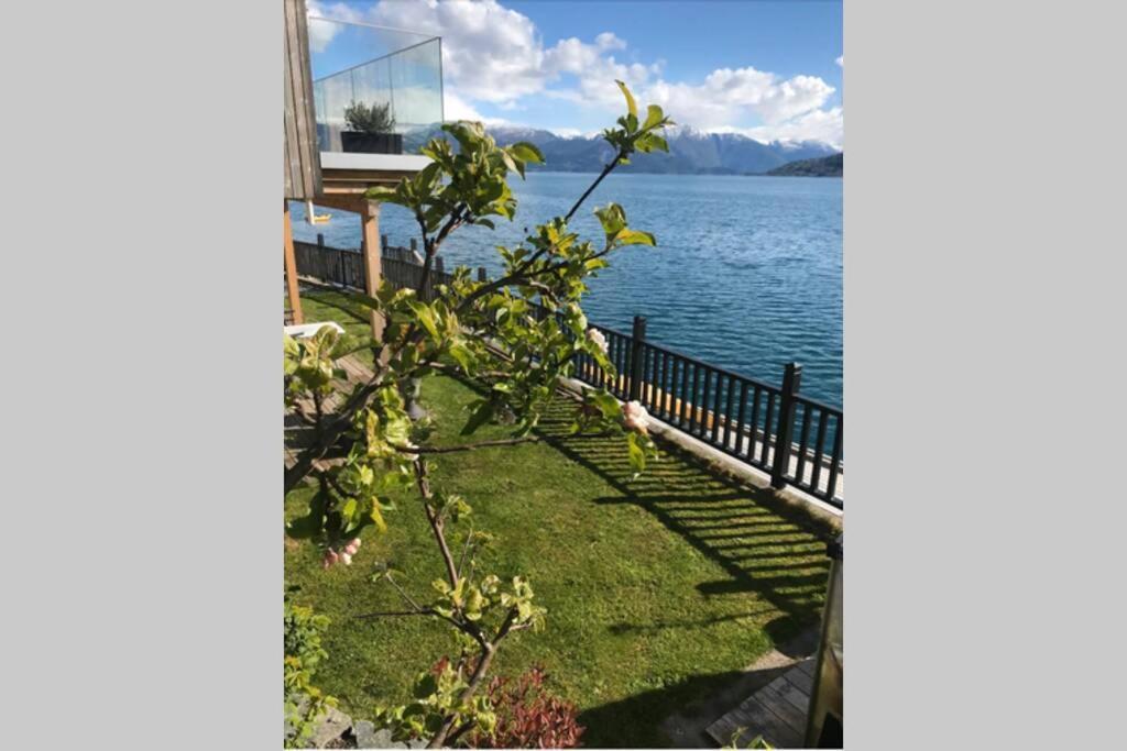 Panoramaresort In Hardangerfjorden Leilighet I Sjokanten Ved Hardangerfjorden For 7 Personer Boat , Sauna,Kajak, Sup For Rent Oystese Ngoại thất bức ảnh